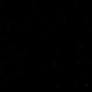 Meet your Posher, Nyra pinkney